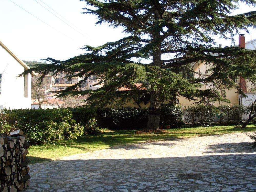  - foto 7