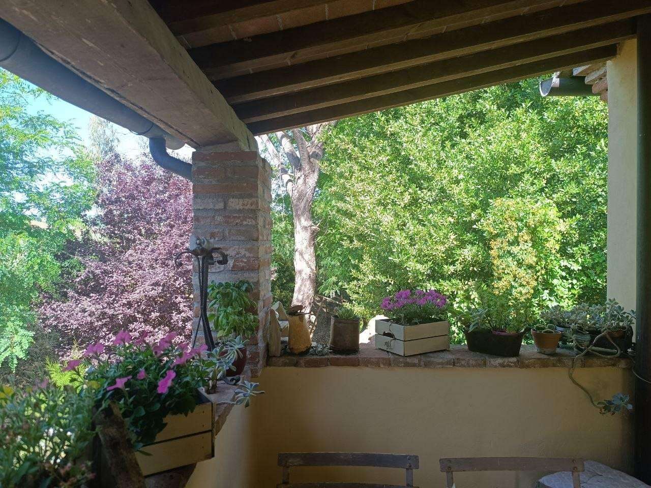  - foto 52