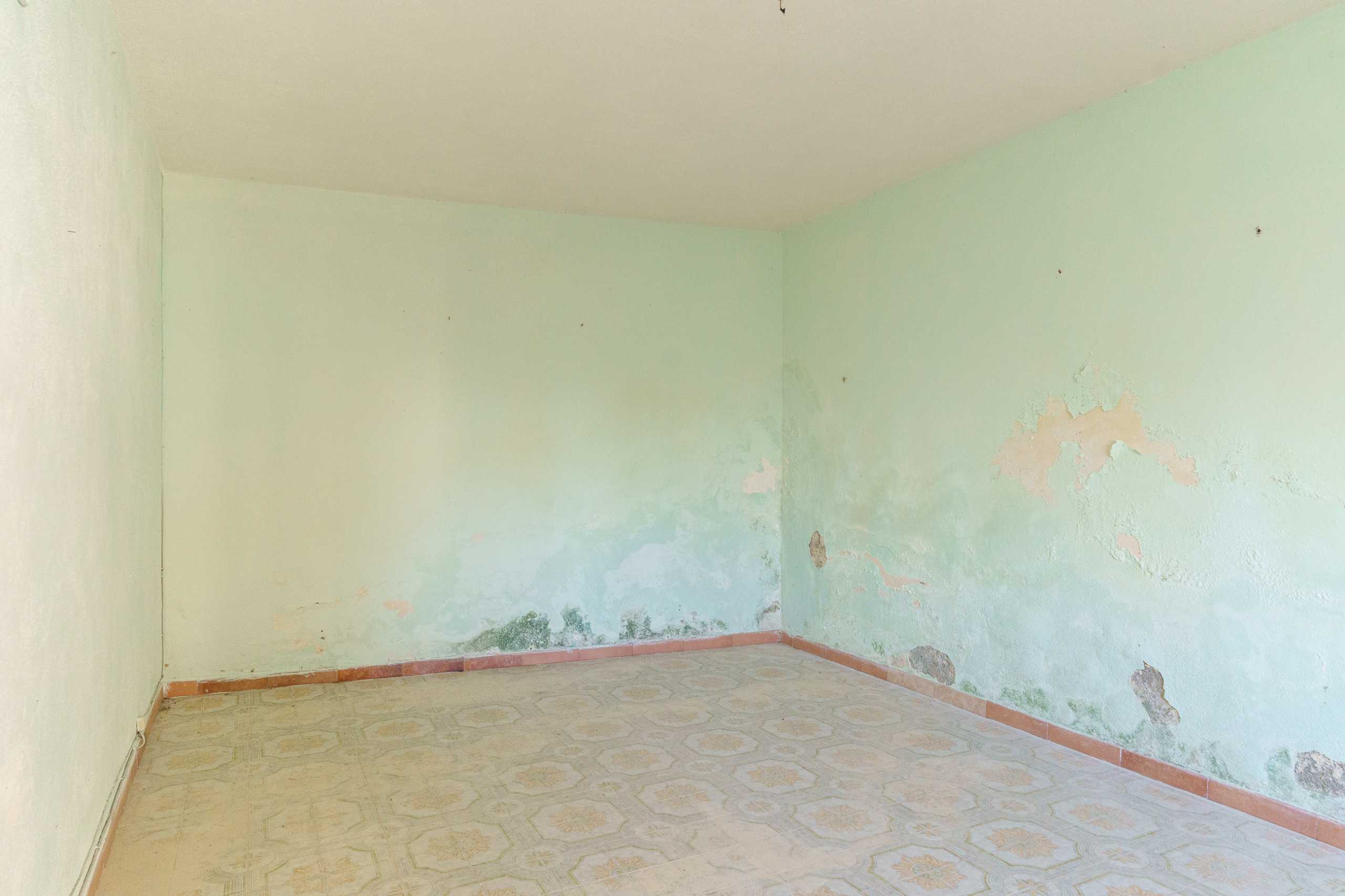  - foto 36