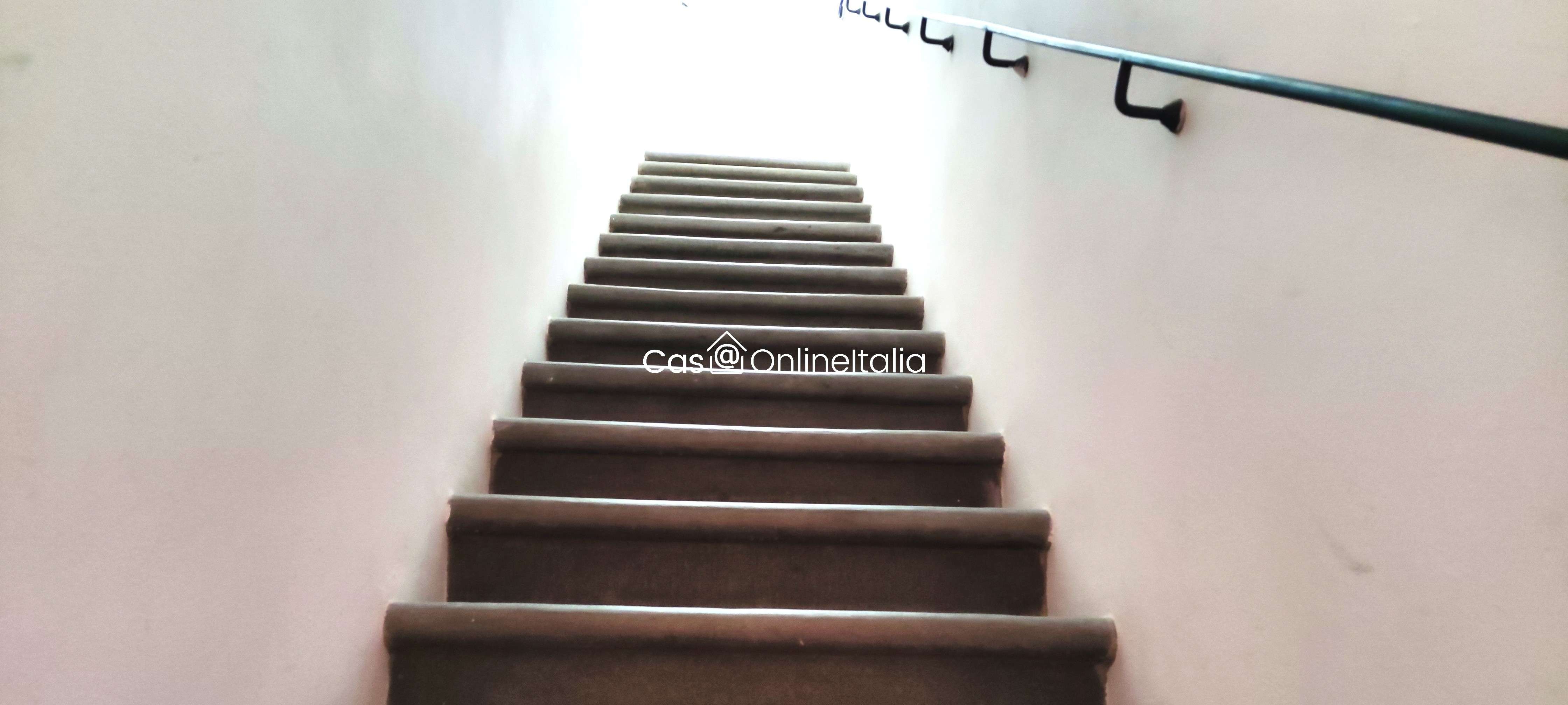  - foto 15