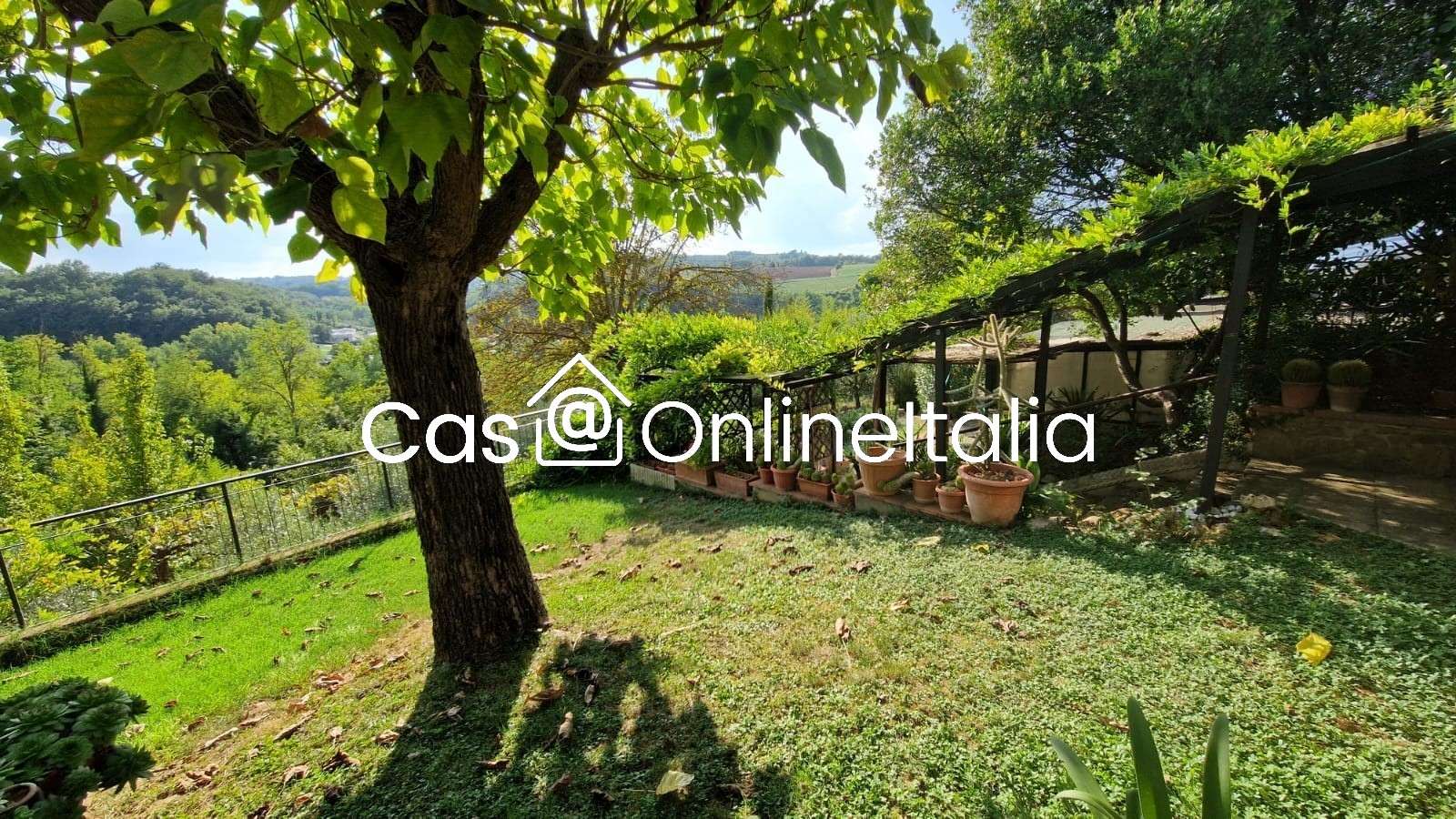  - foto 43