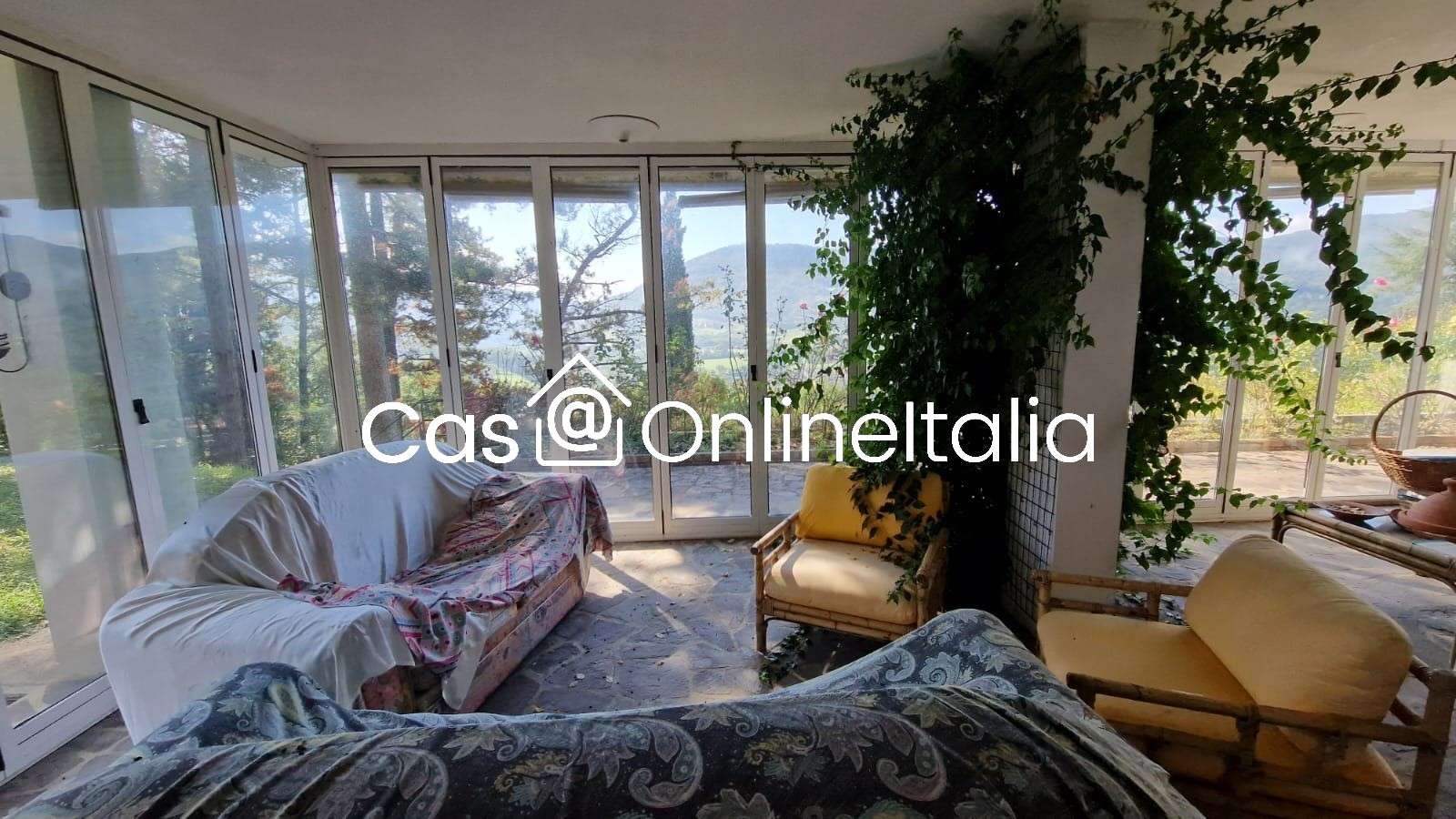  - foto 43