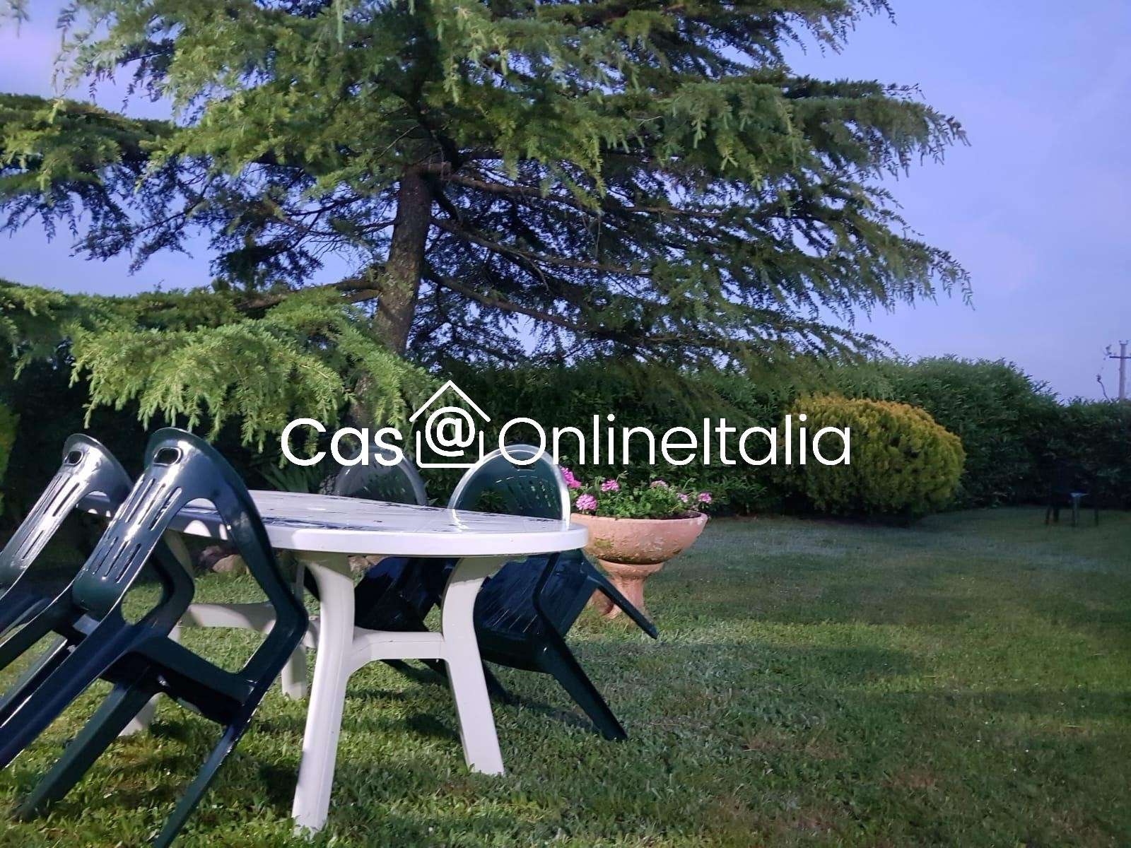  - foto 13