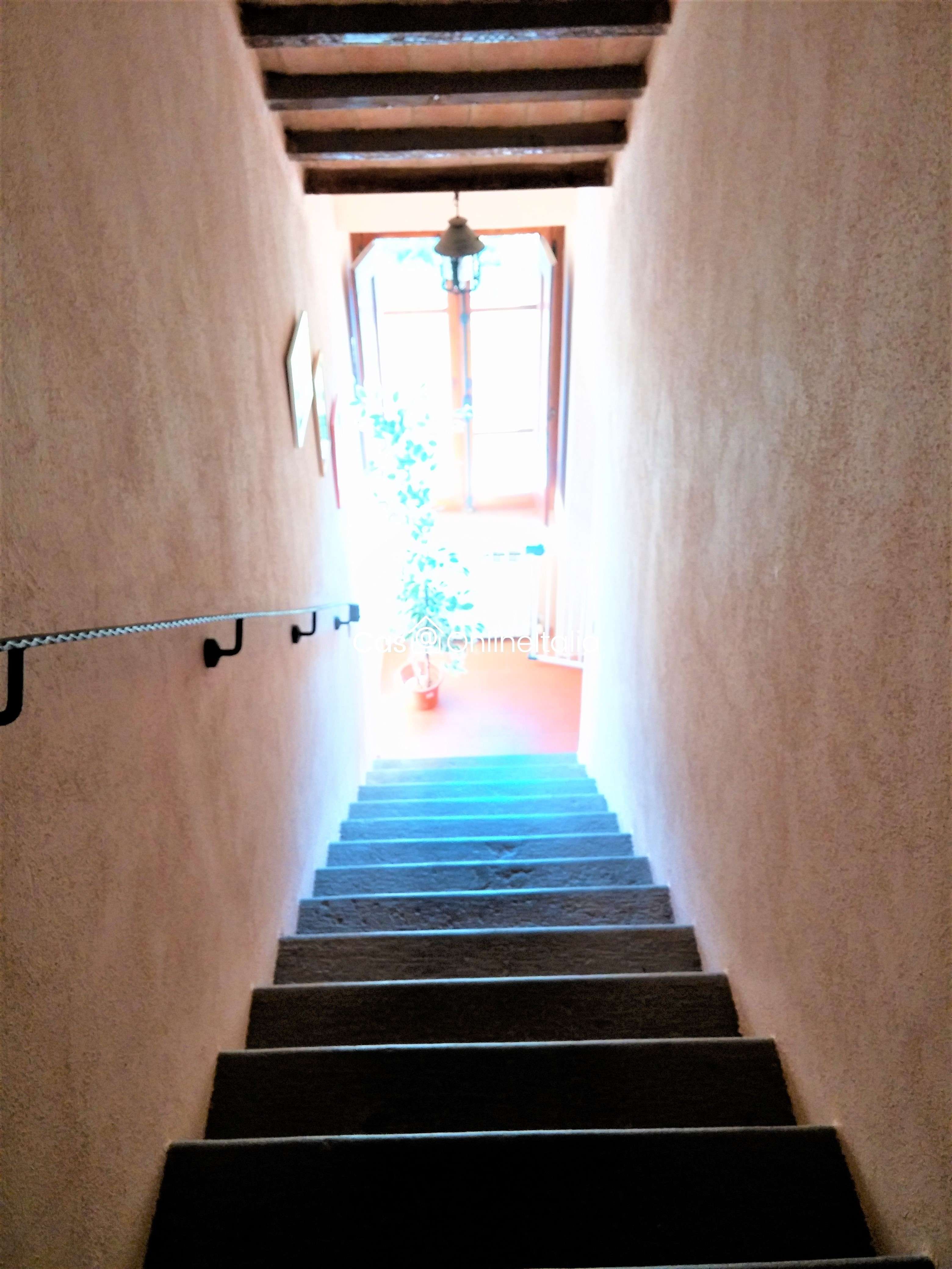  - foto 20