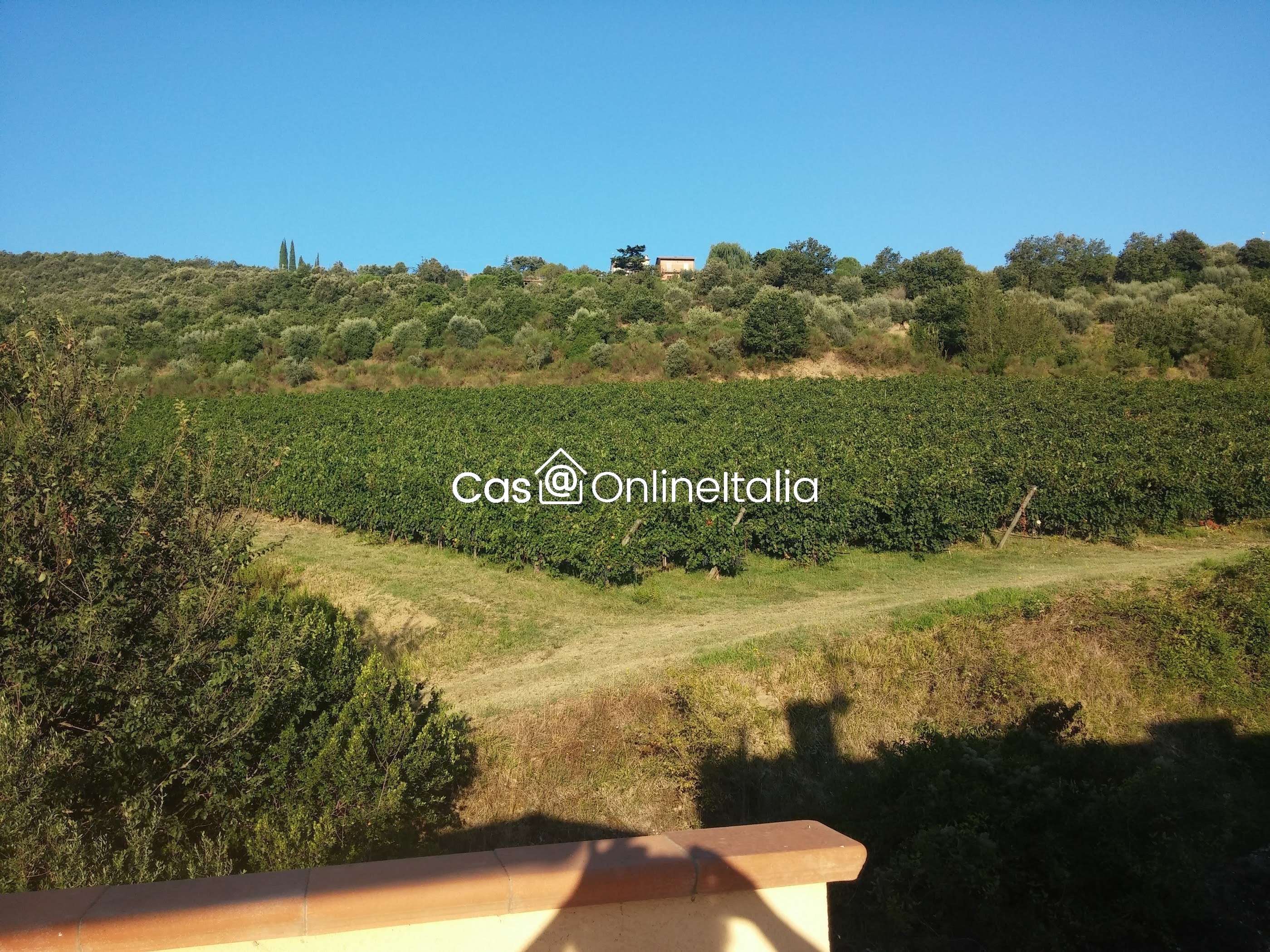  - foto 36