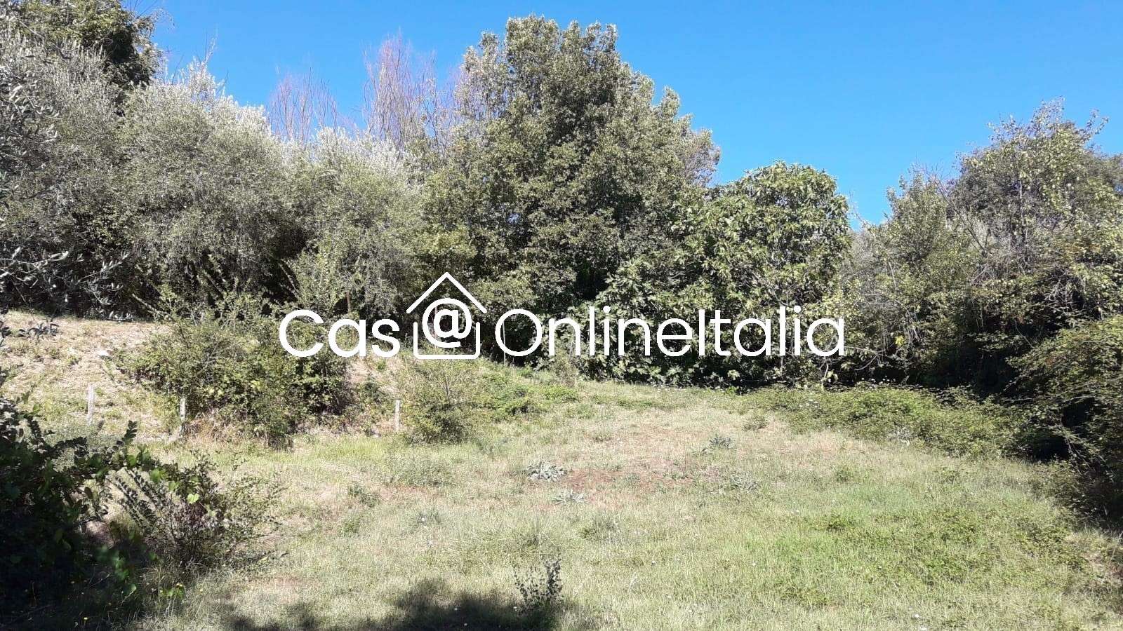  - foto 49
