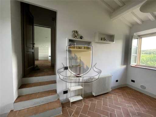  - foto 15