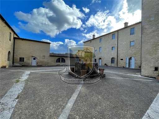  - foto 30