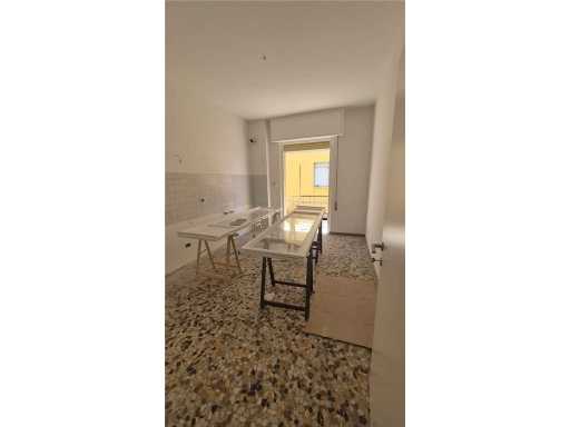  - foto 29