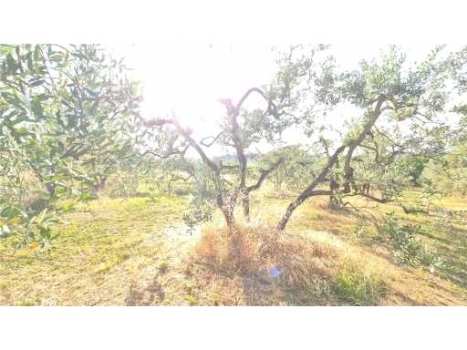  - foto 14