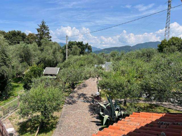  - foto 14