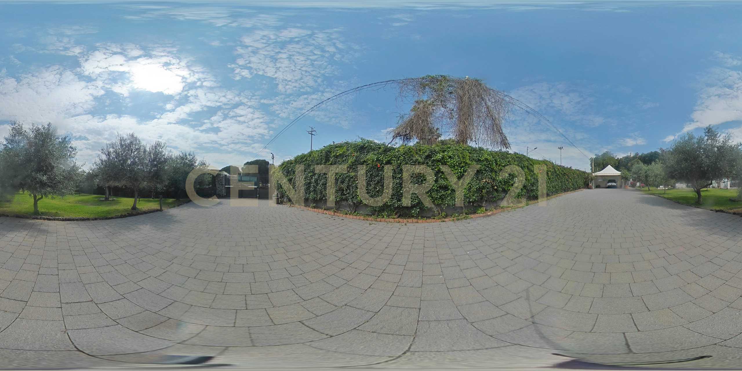  - foto 97