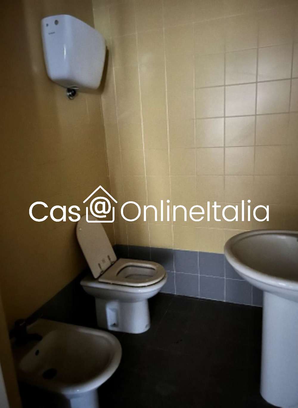  - foto 7