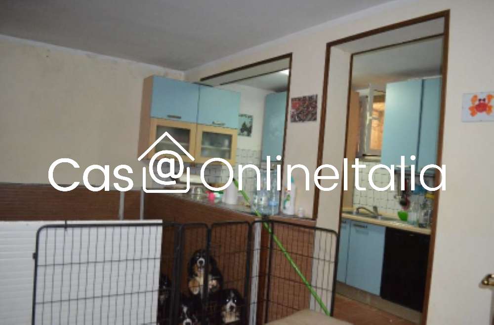  - foto 15