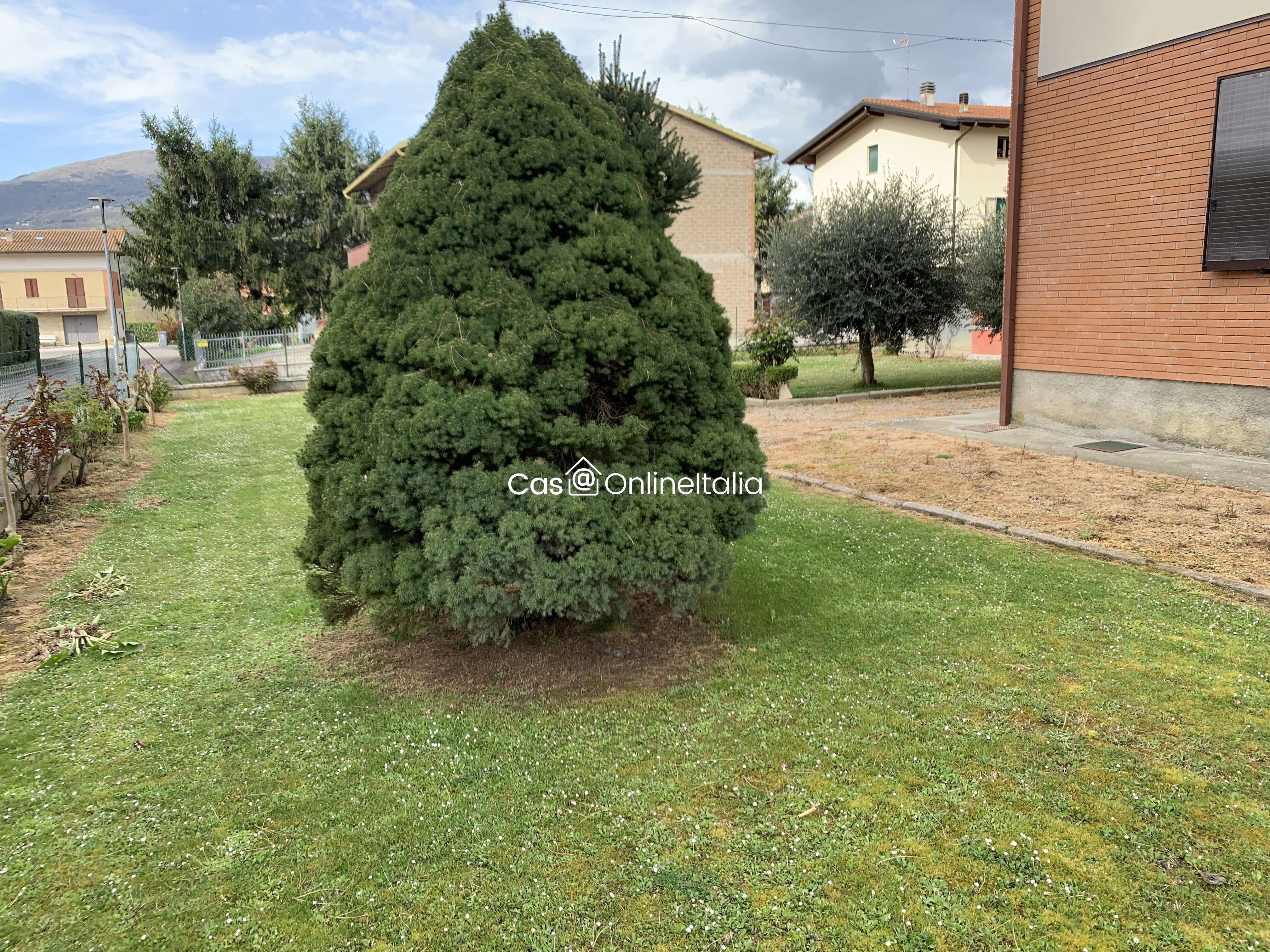  - foto 44