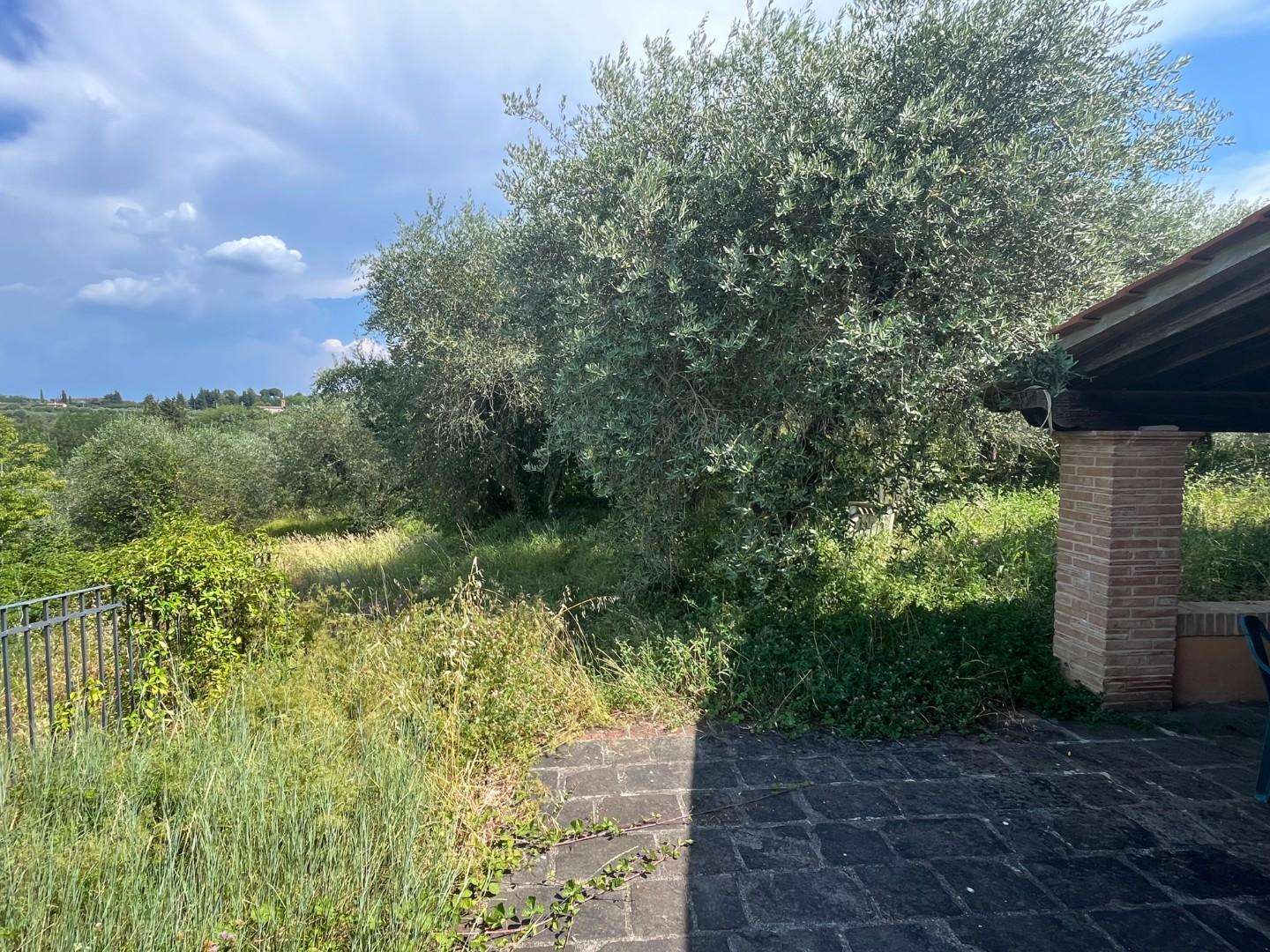  - foto 12
