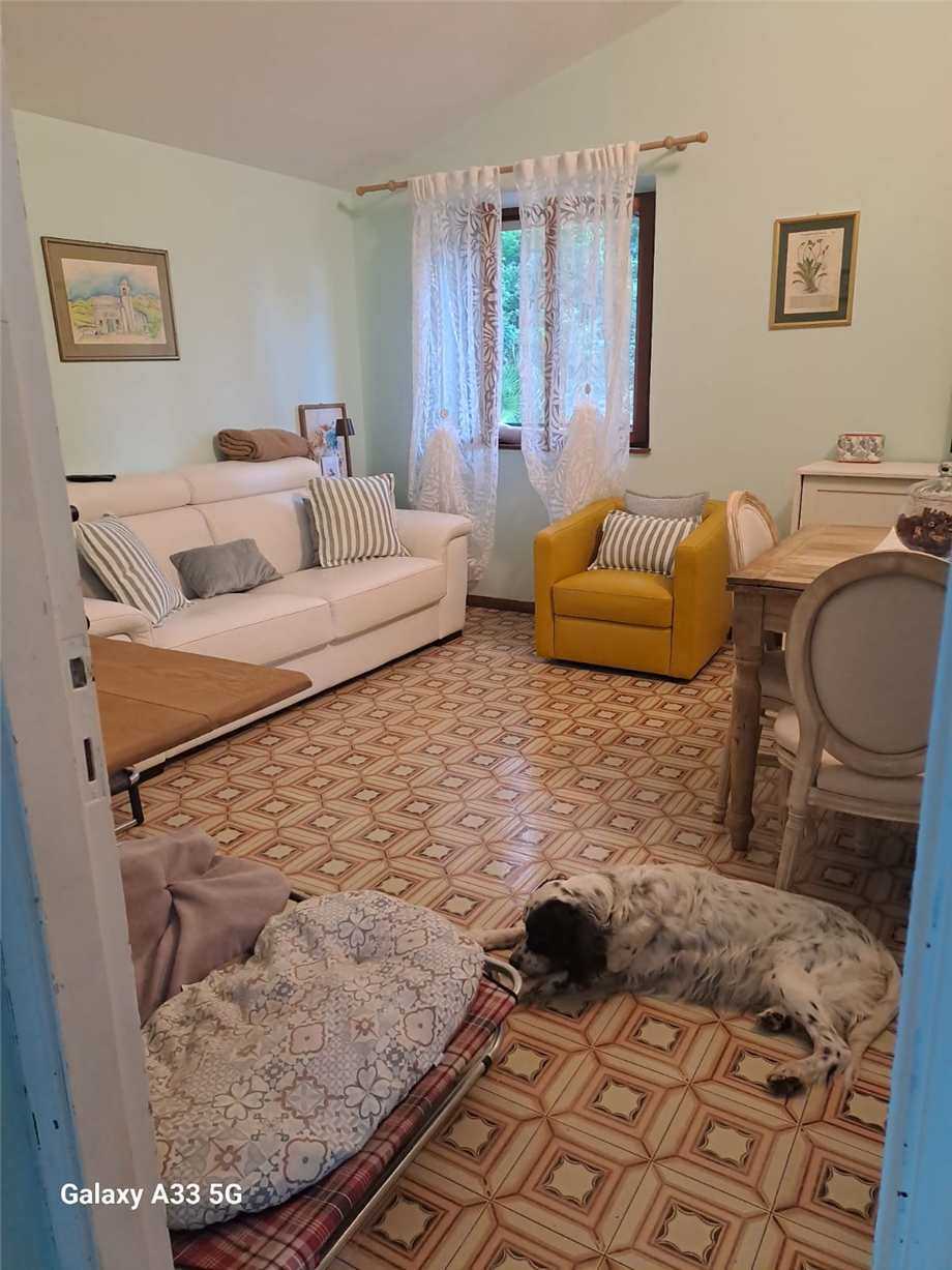  - foto 6
