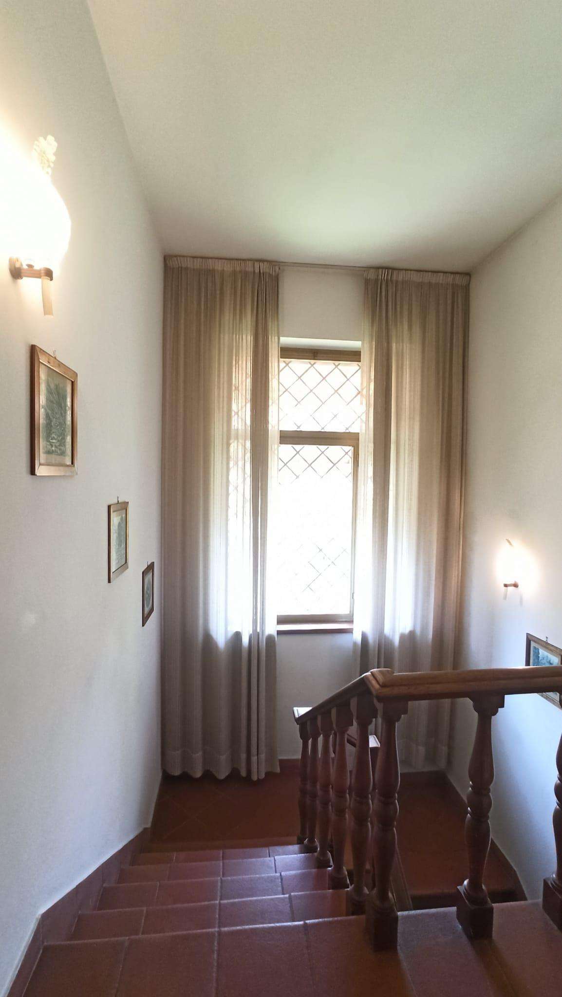  - foto 15