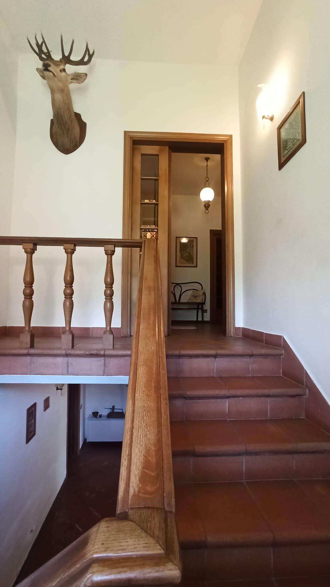  - foto 16