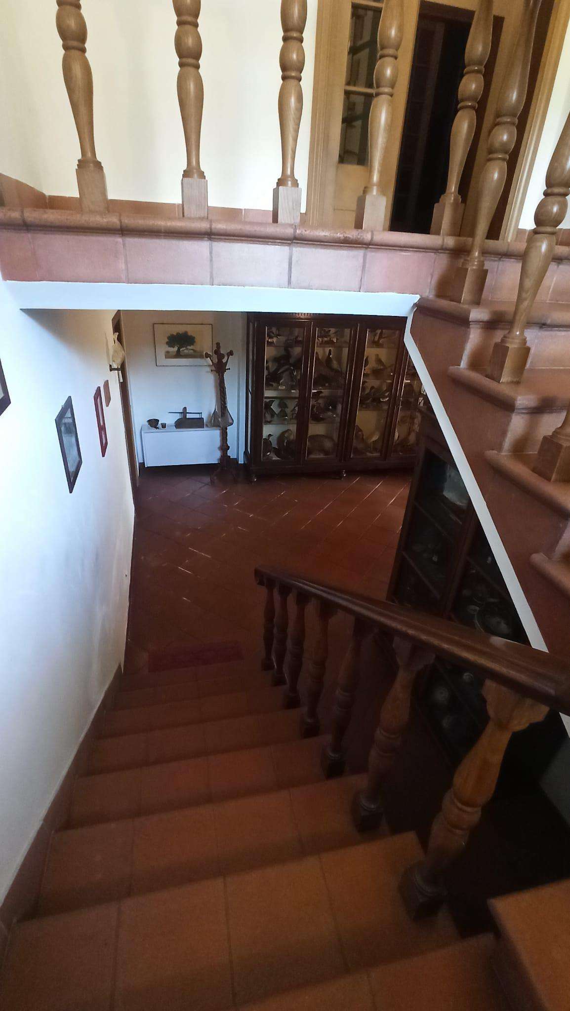  - foto 20