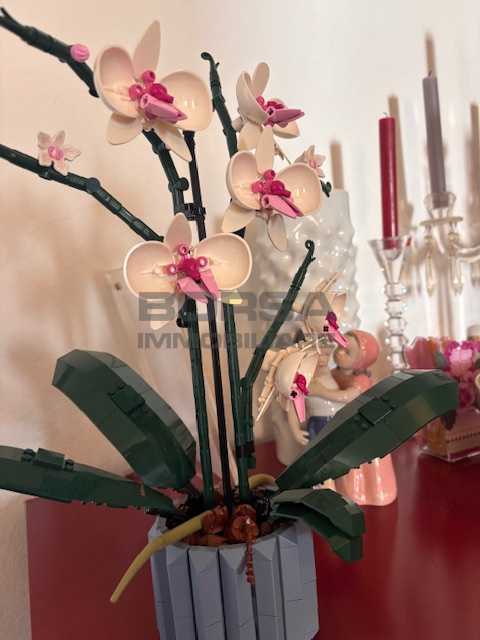  - foto 27