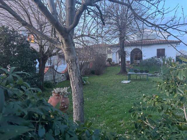 - foto 3