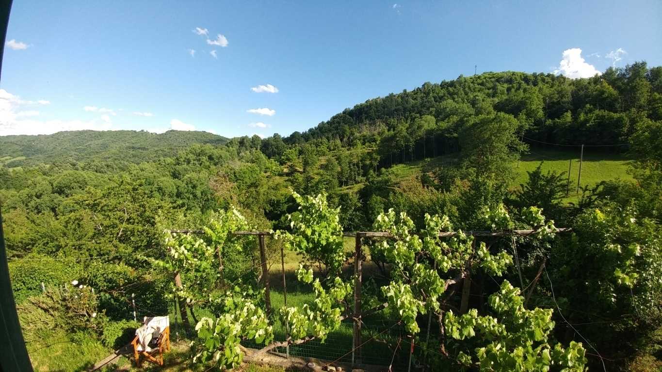  - foto 39