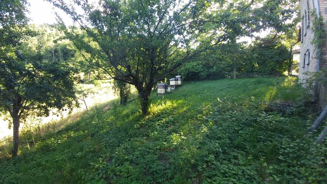  - foto 41