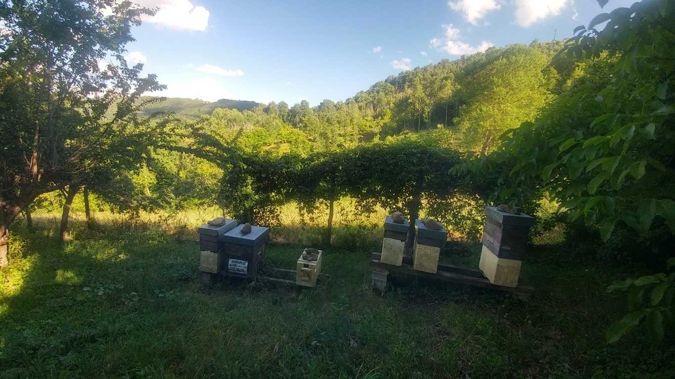  - foto 42