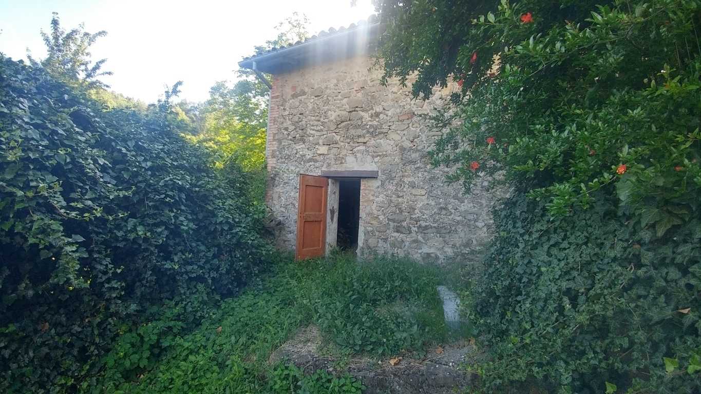  - foto 43