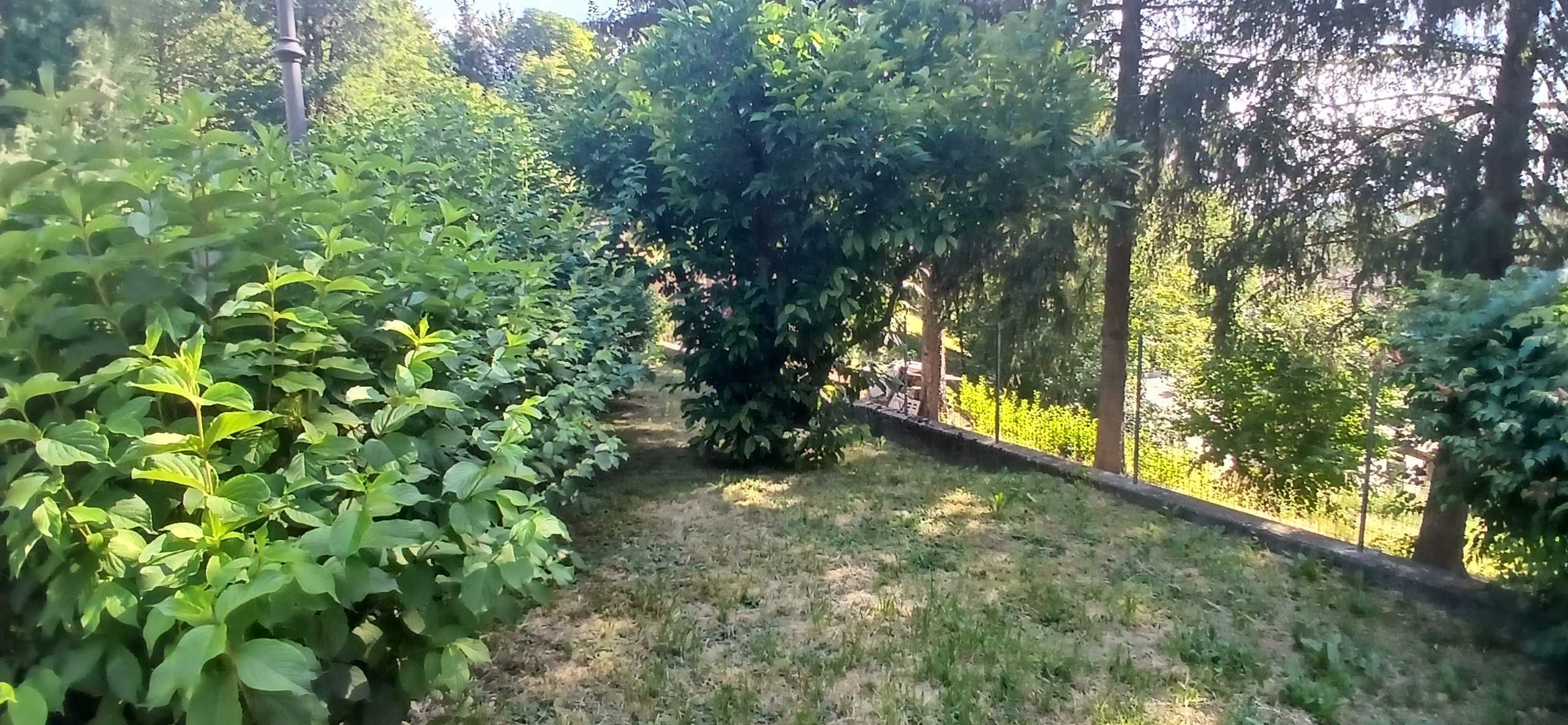  - foto 31