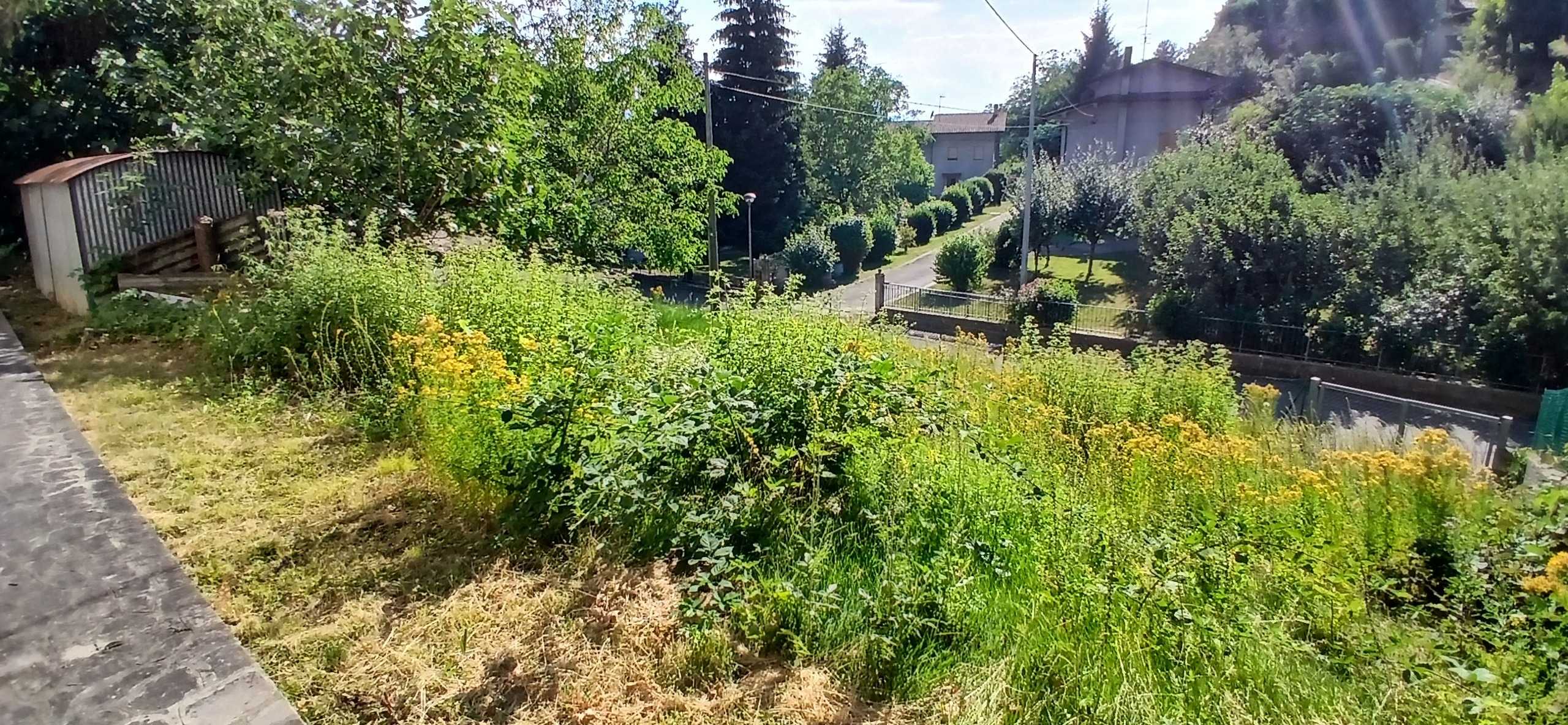  - foto 36