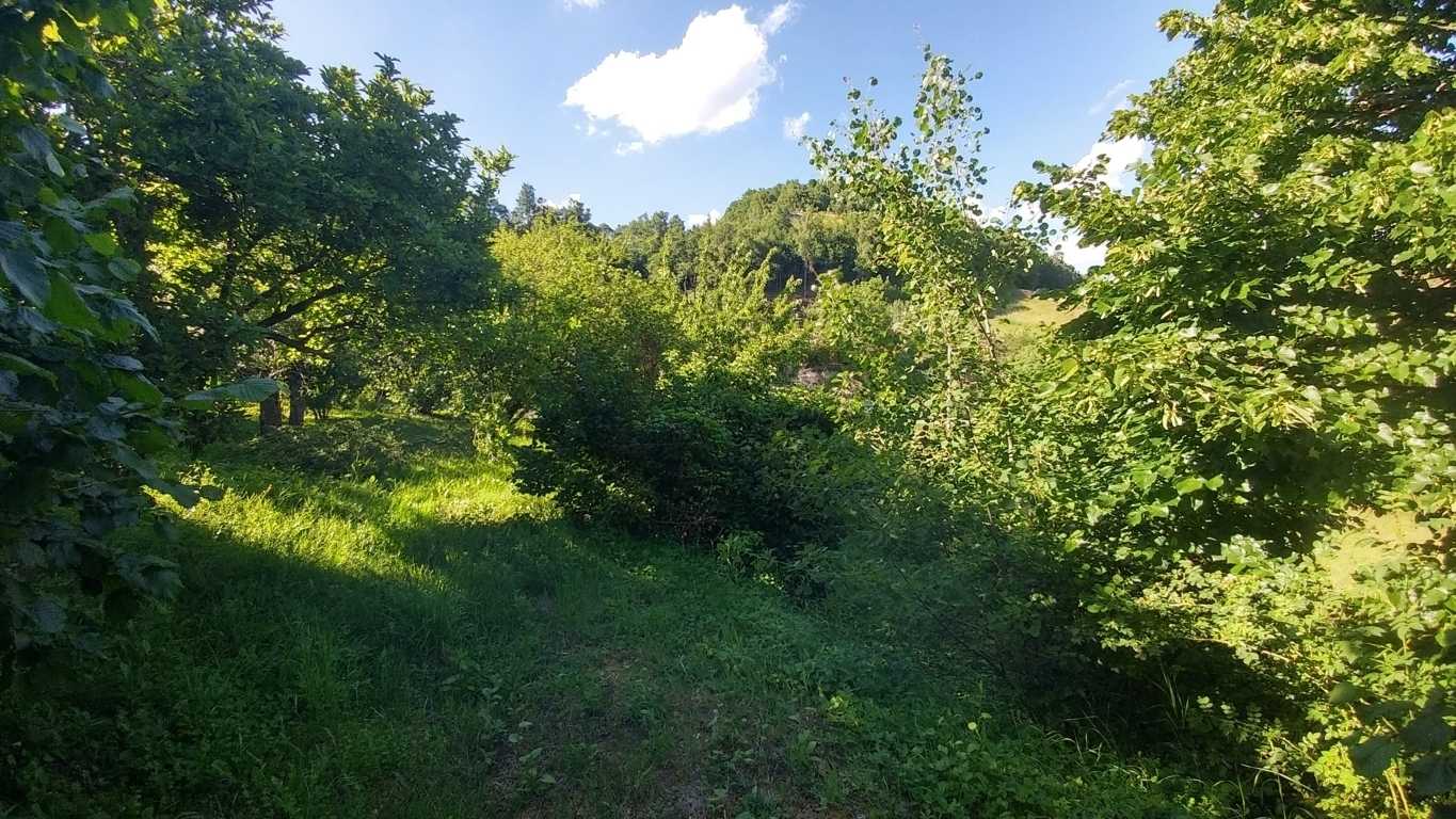  - foto 46