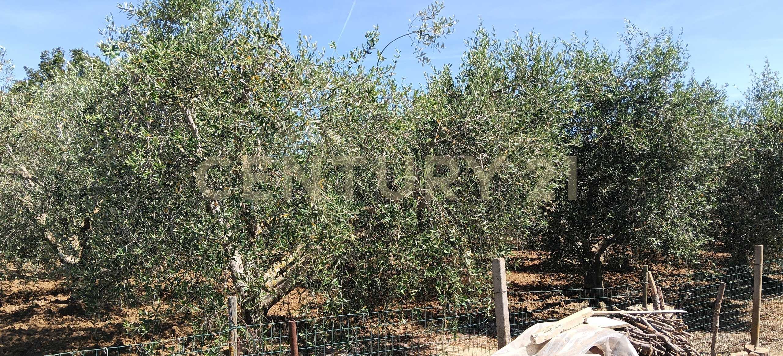  - foto 15