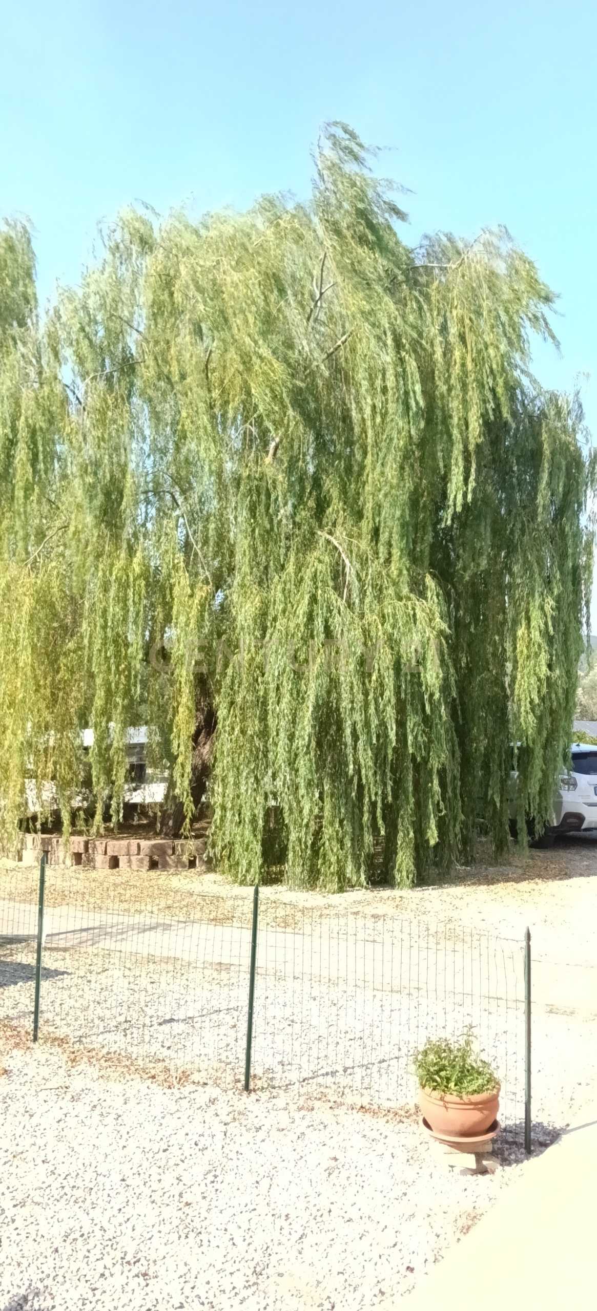  - foto 44