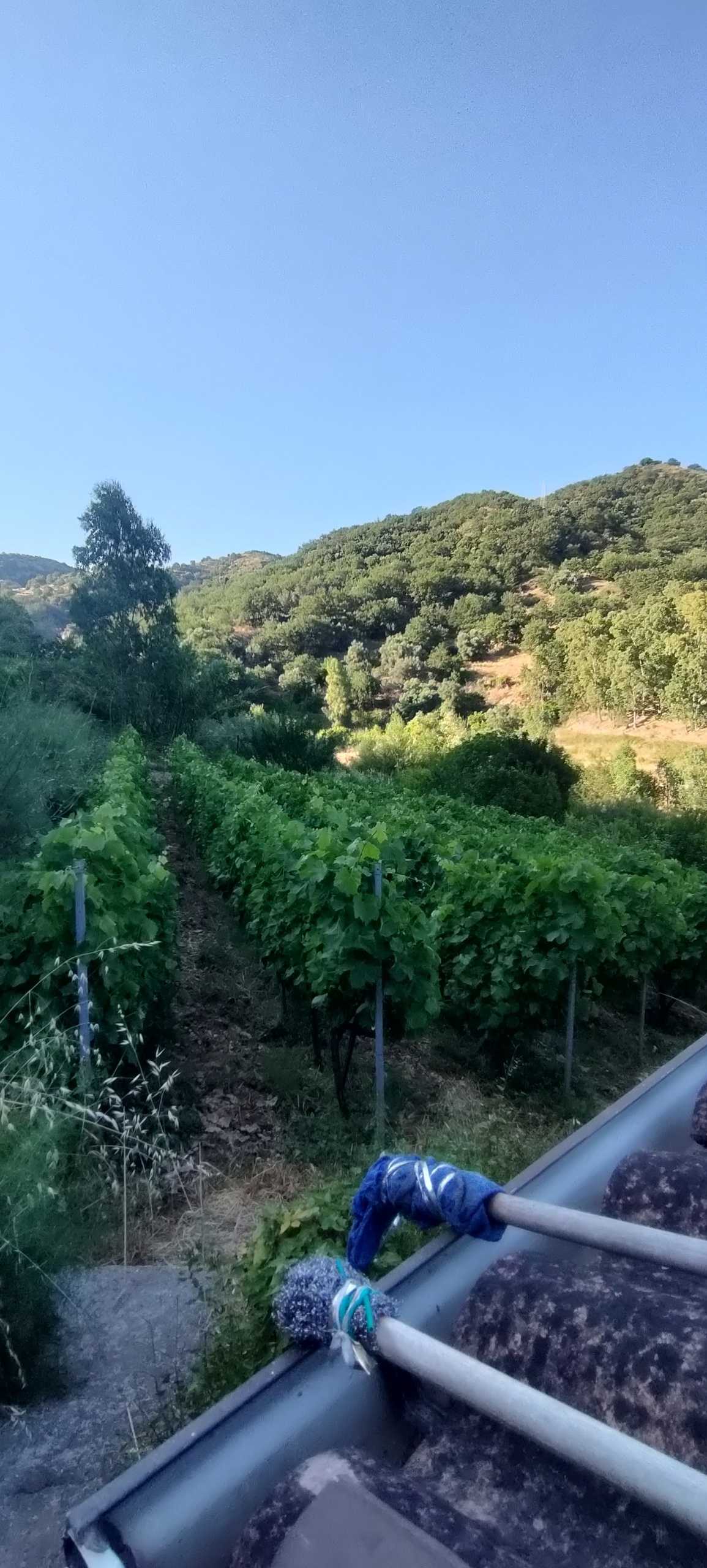  - foto 10