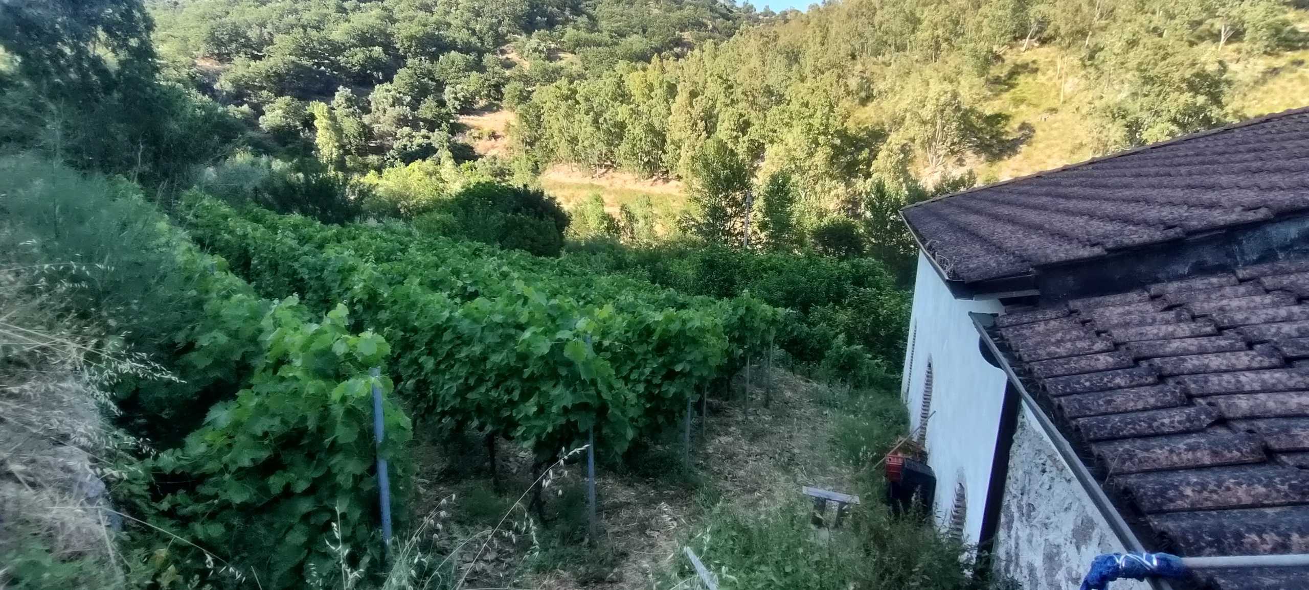  - foto 6