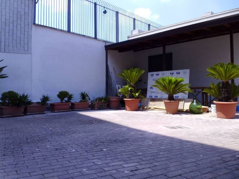  - foto 4