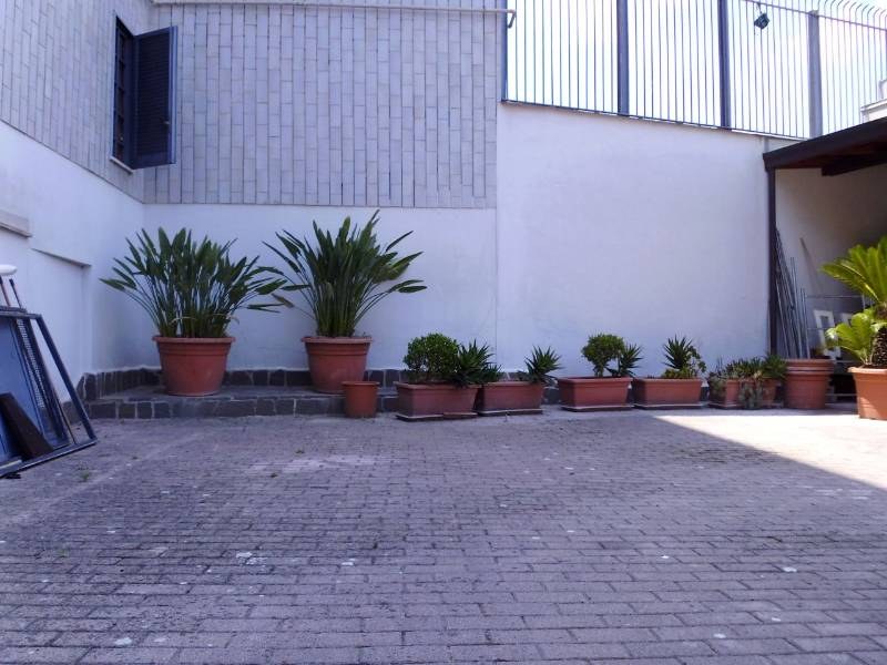  - foto 8