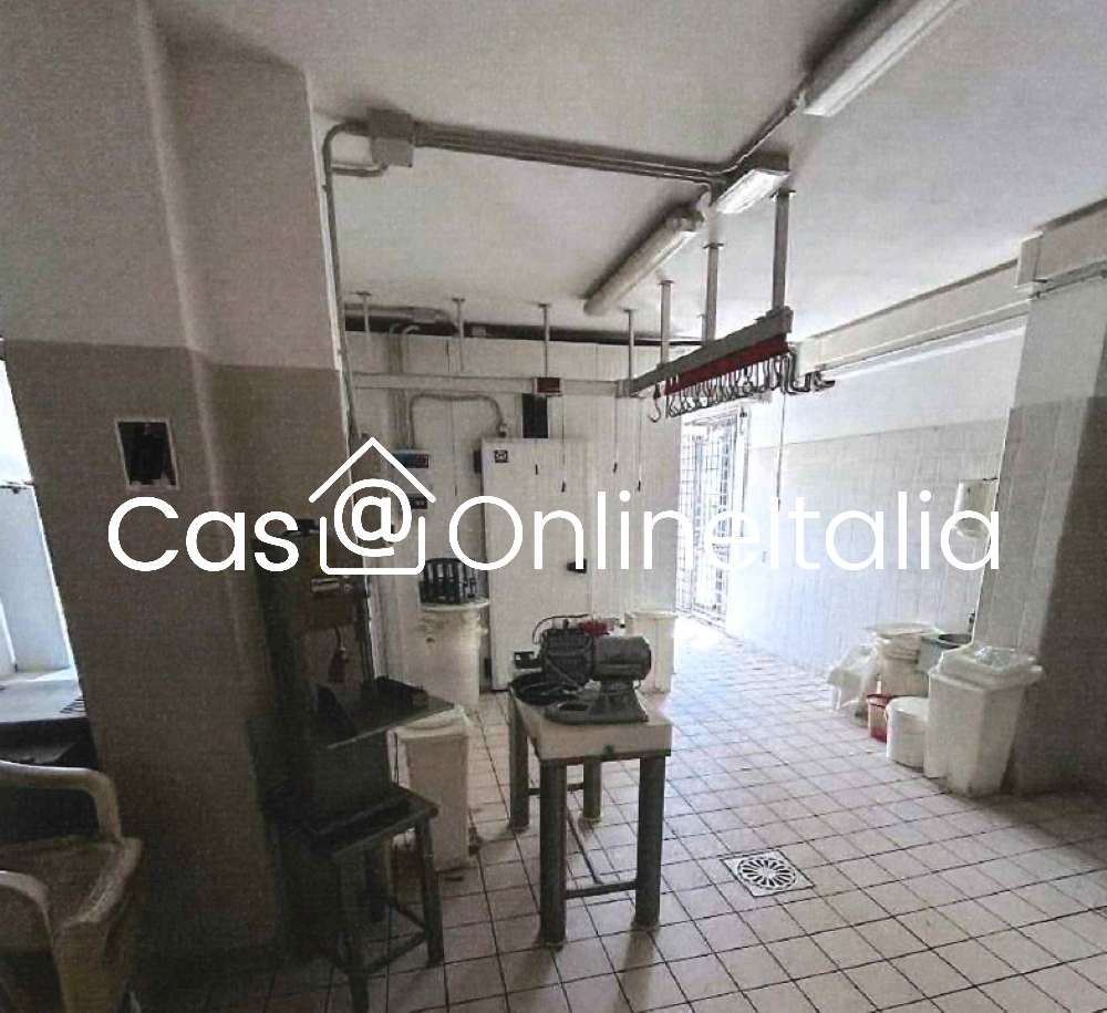  - foto 4