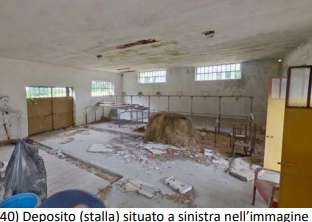  - foto 21
