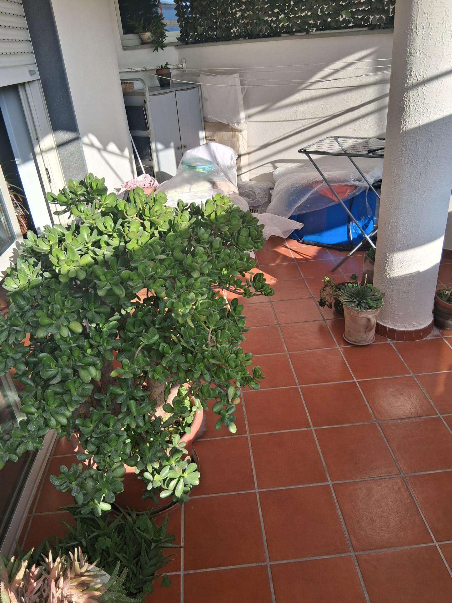  - foto 38