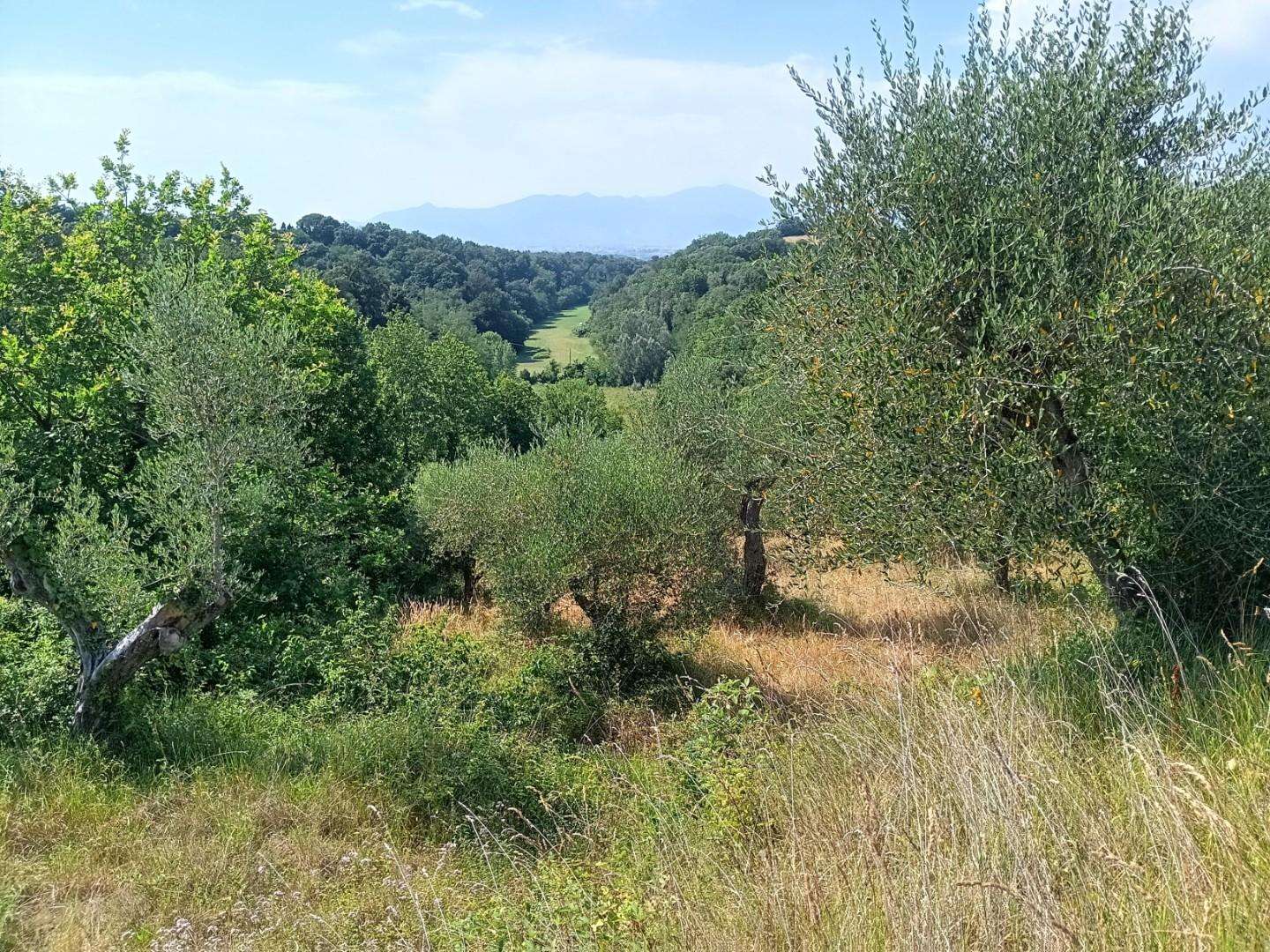  - foto 6