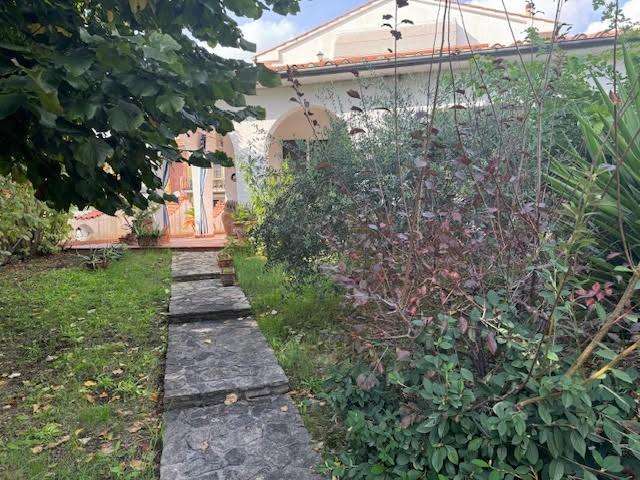  - foto 27