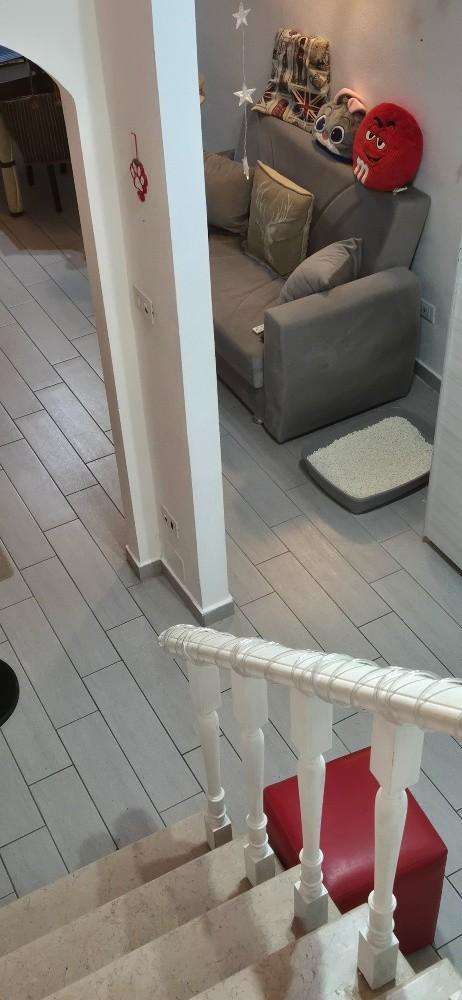  - foto 12