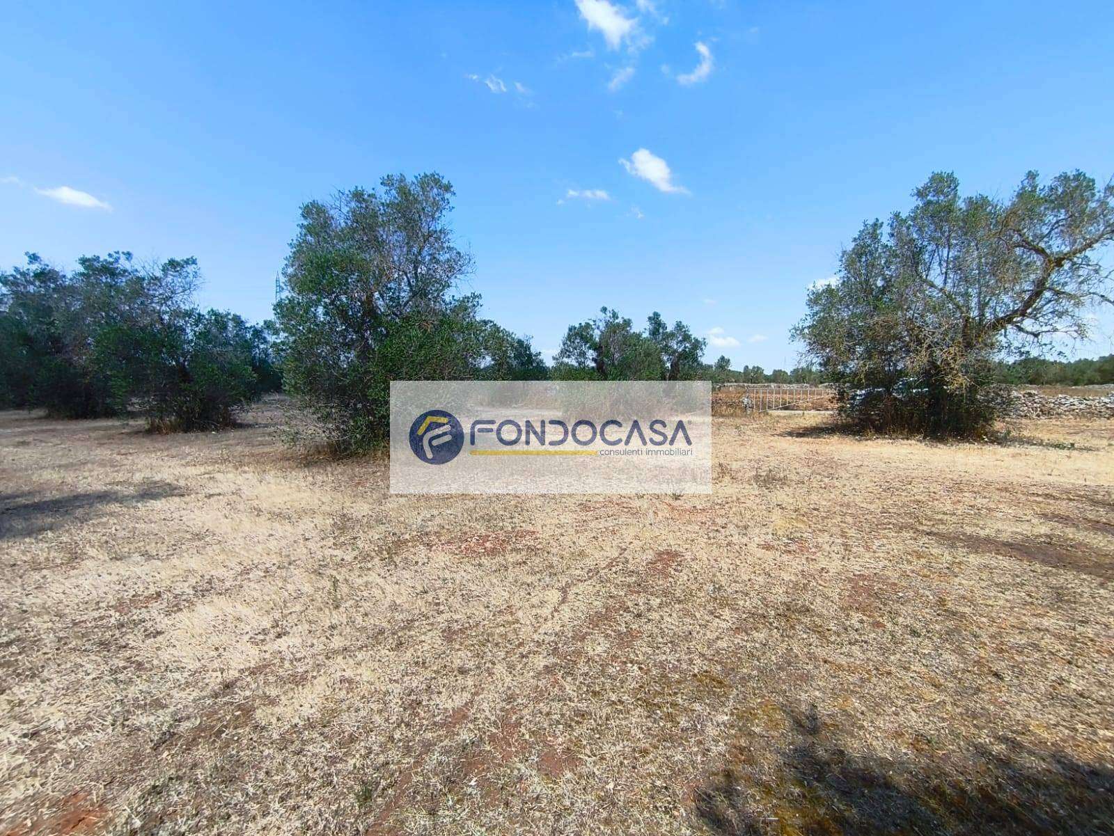  - foto 11