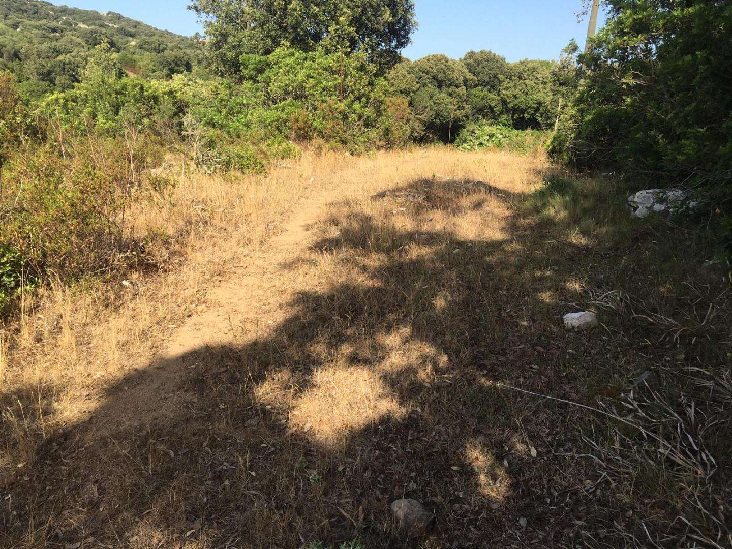  - foto 14