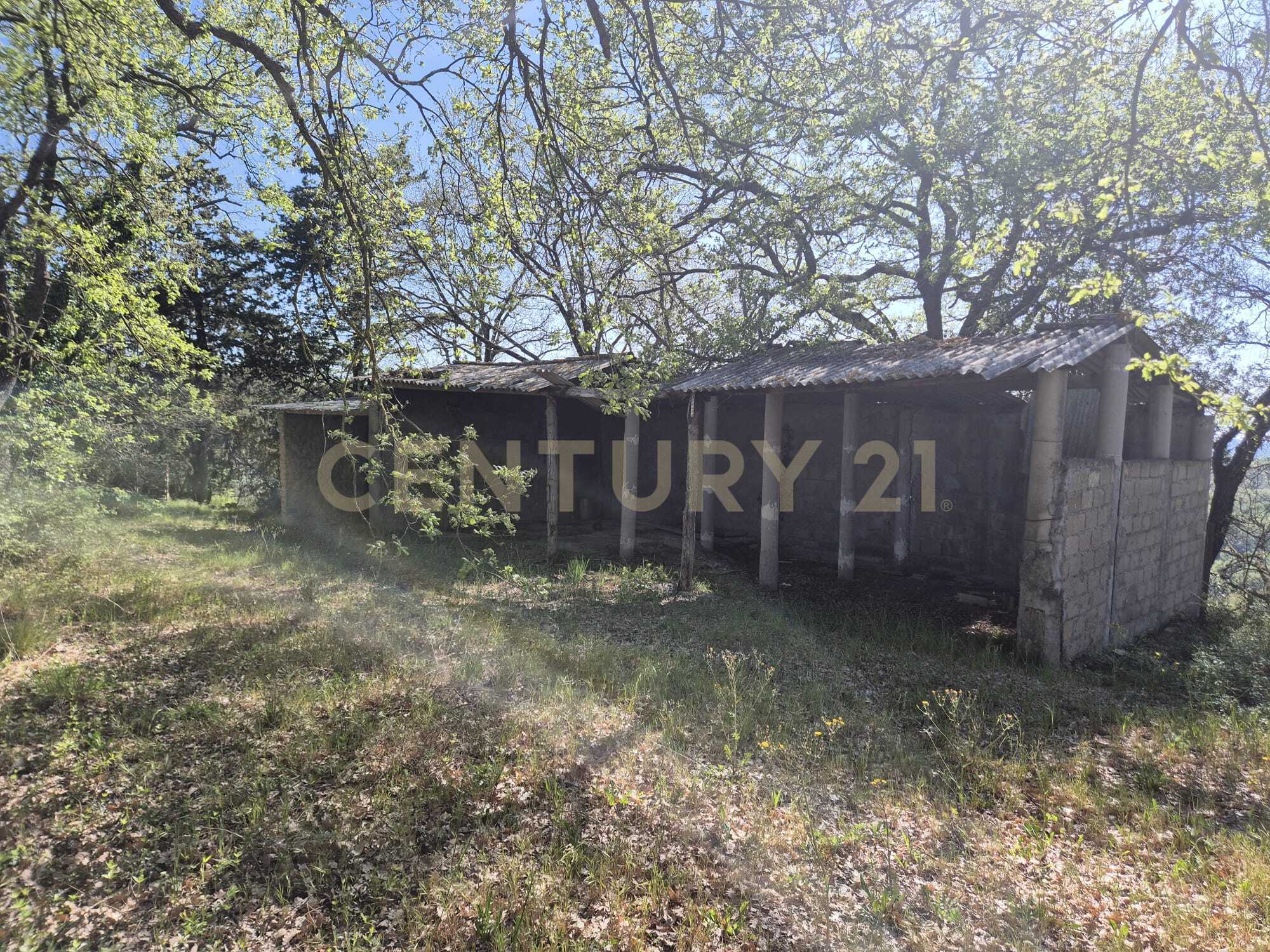  - foto 4