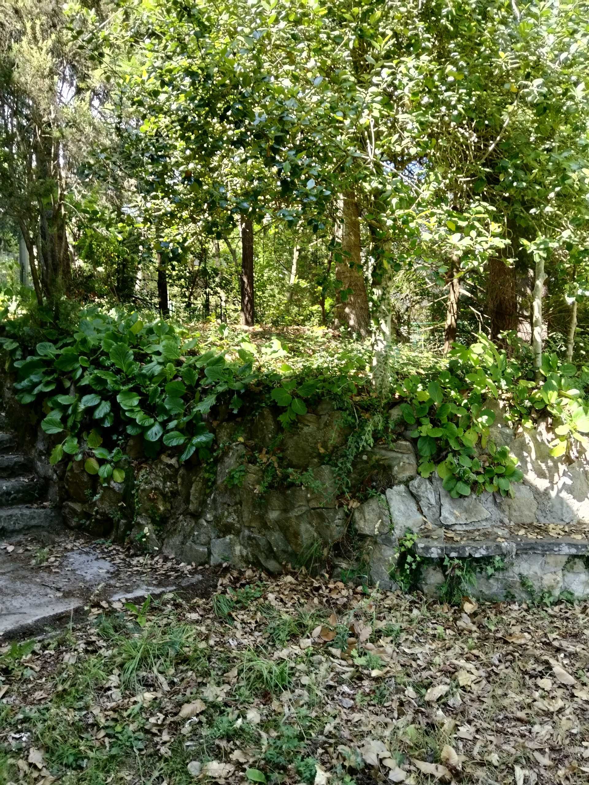  - foto 4