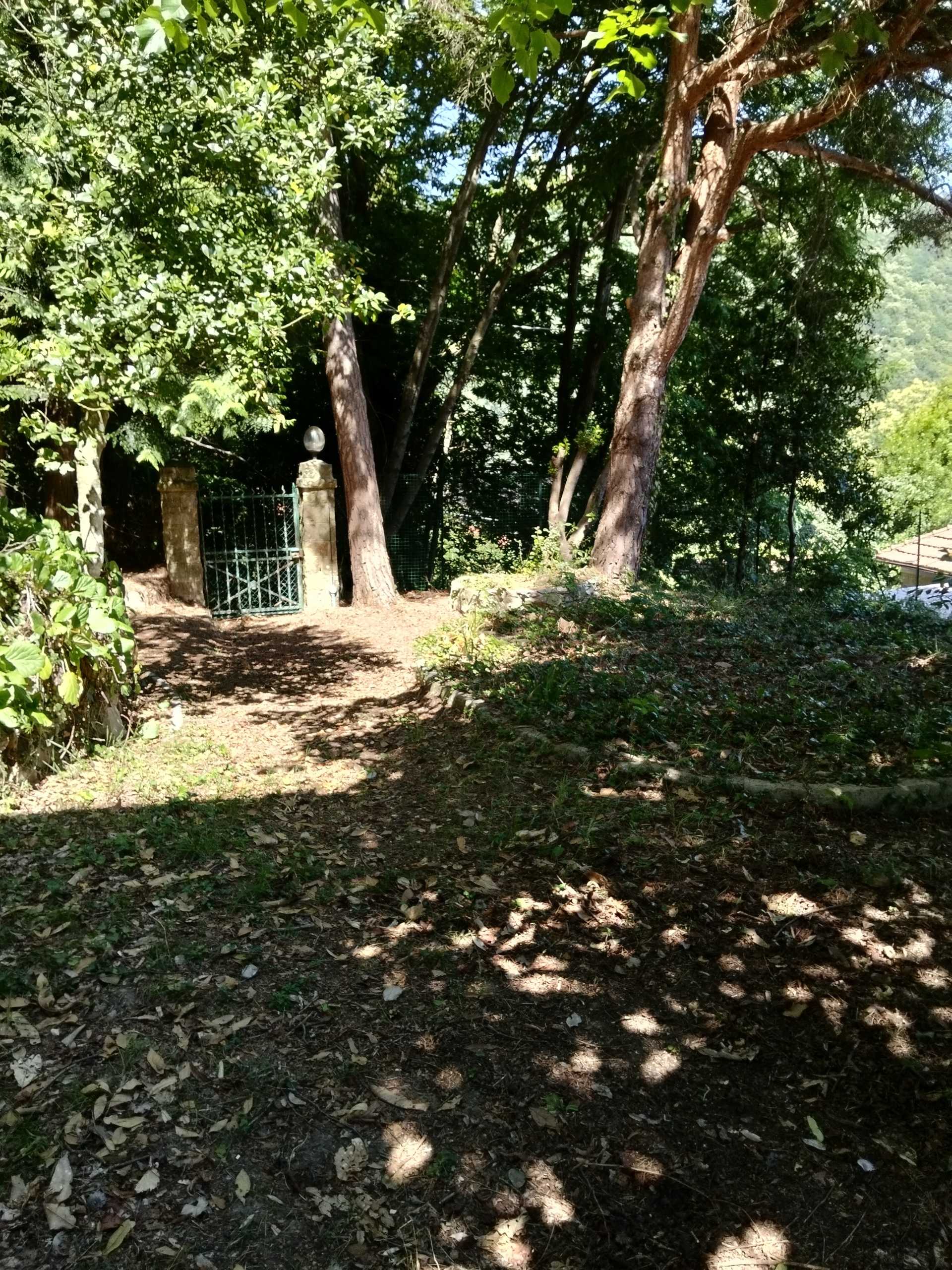  - foto 5